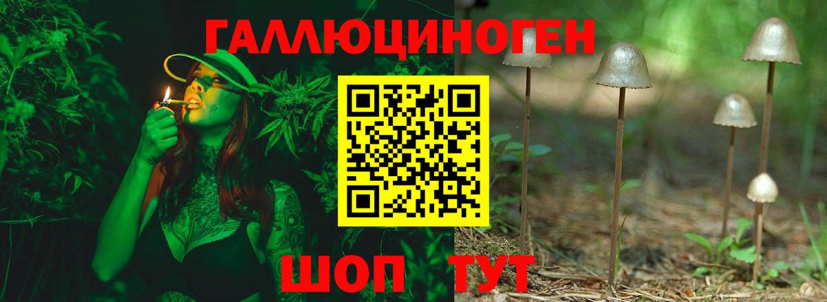 Псилоцибиновые грибы GOLDEN TEACHER Усолье-Сибирское