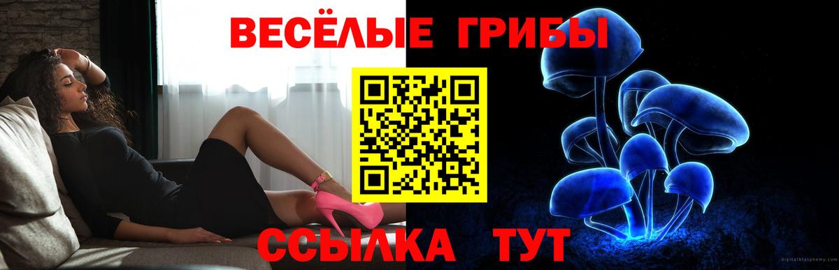Усолье-Сибирское  Псилоцибиновые грибы ЛСД  Галлюциногенные грибы Magic Shrooms  Вход с VPN 